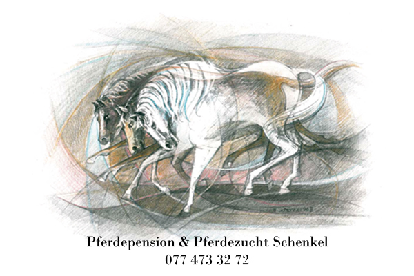 Pferdezucht Schenkel